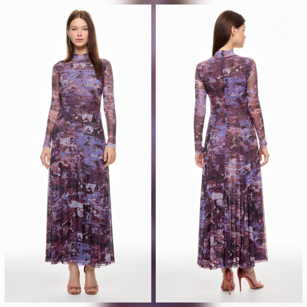 Ronny Kobo Printed Mesh Maxi Dress Cocktail Dresses Mock Neck Long Sleeve